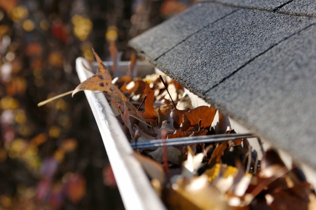 Gutter full of leaves