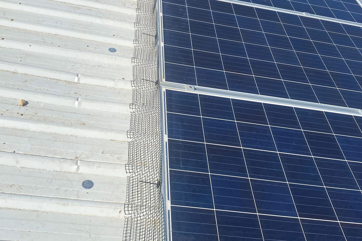 Solar panels on a roof with bird mesh installation. Gutter Cleaning Guys Perth