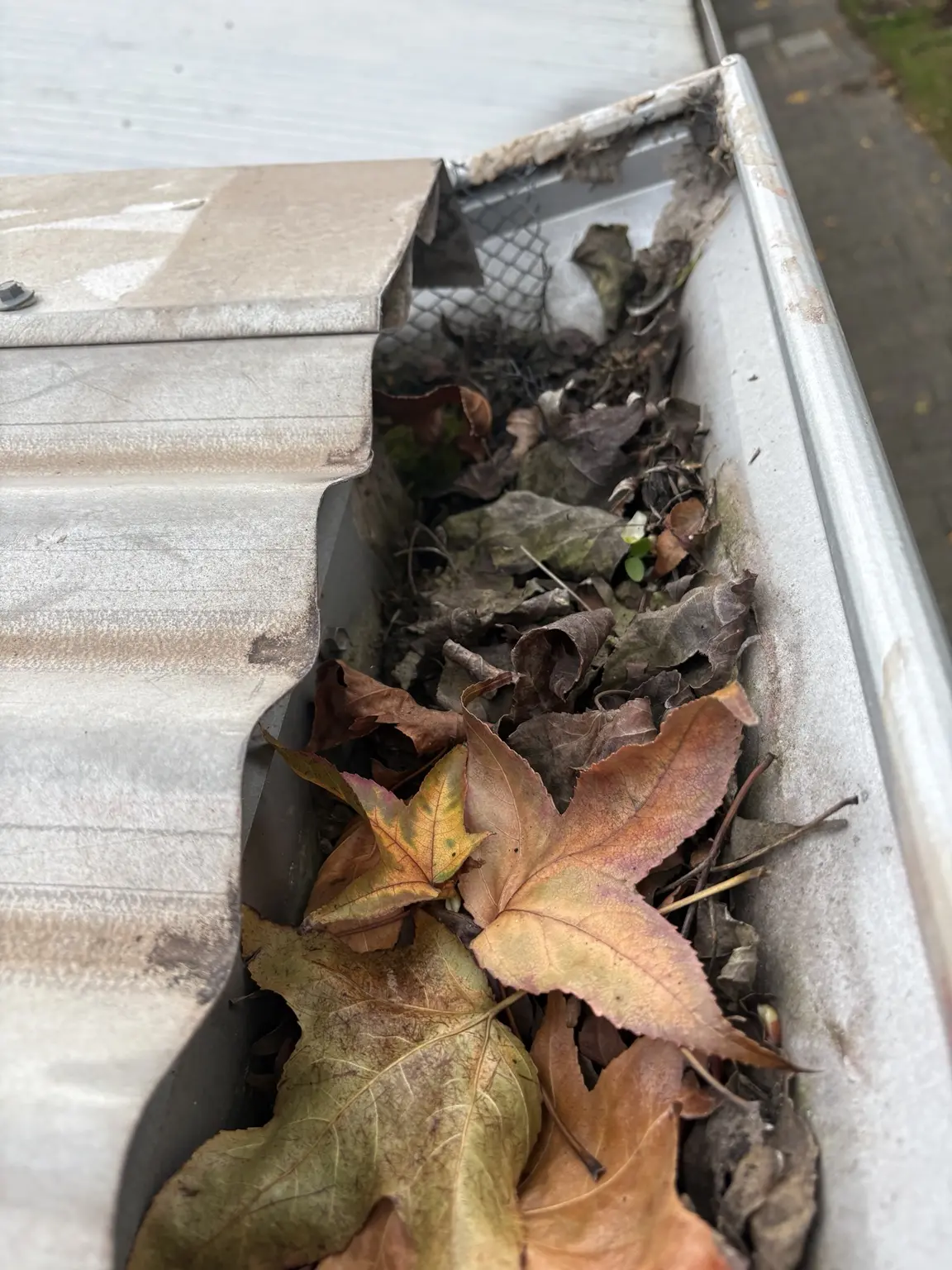 Blocked gutter before cleaning