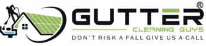 Gutter Cleaning Guys