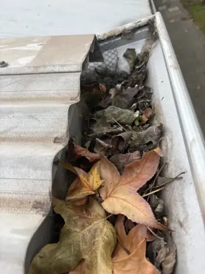Blocked gutter before cleaning